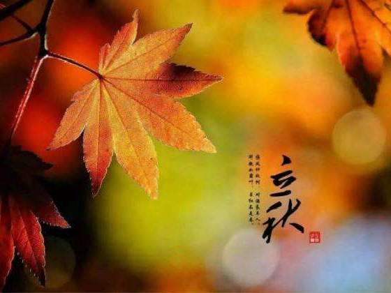 秋來(lái)了，莫慌！智慧主機(jī)依舊值得推薦的